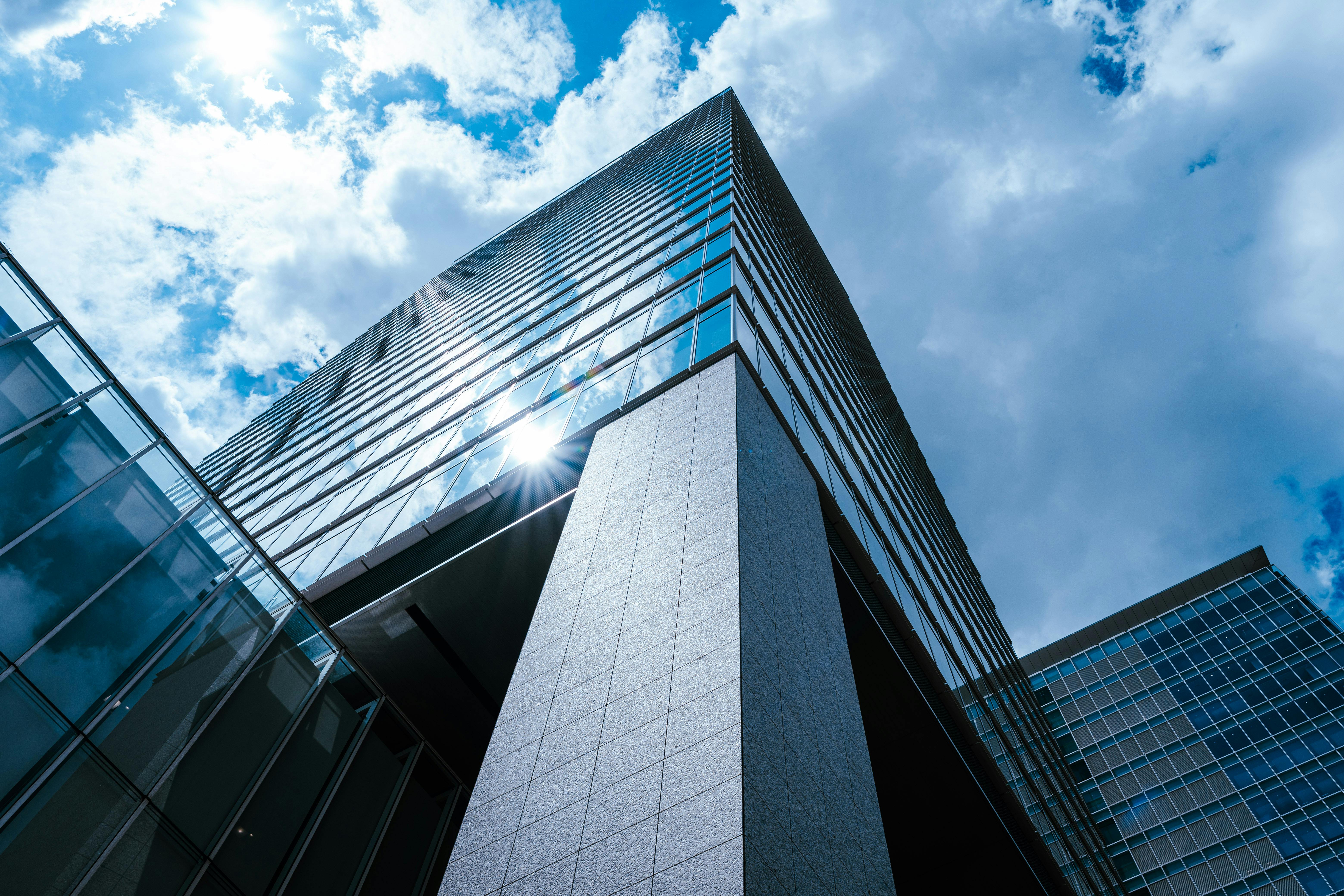 Solar & Privacy Film 2