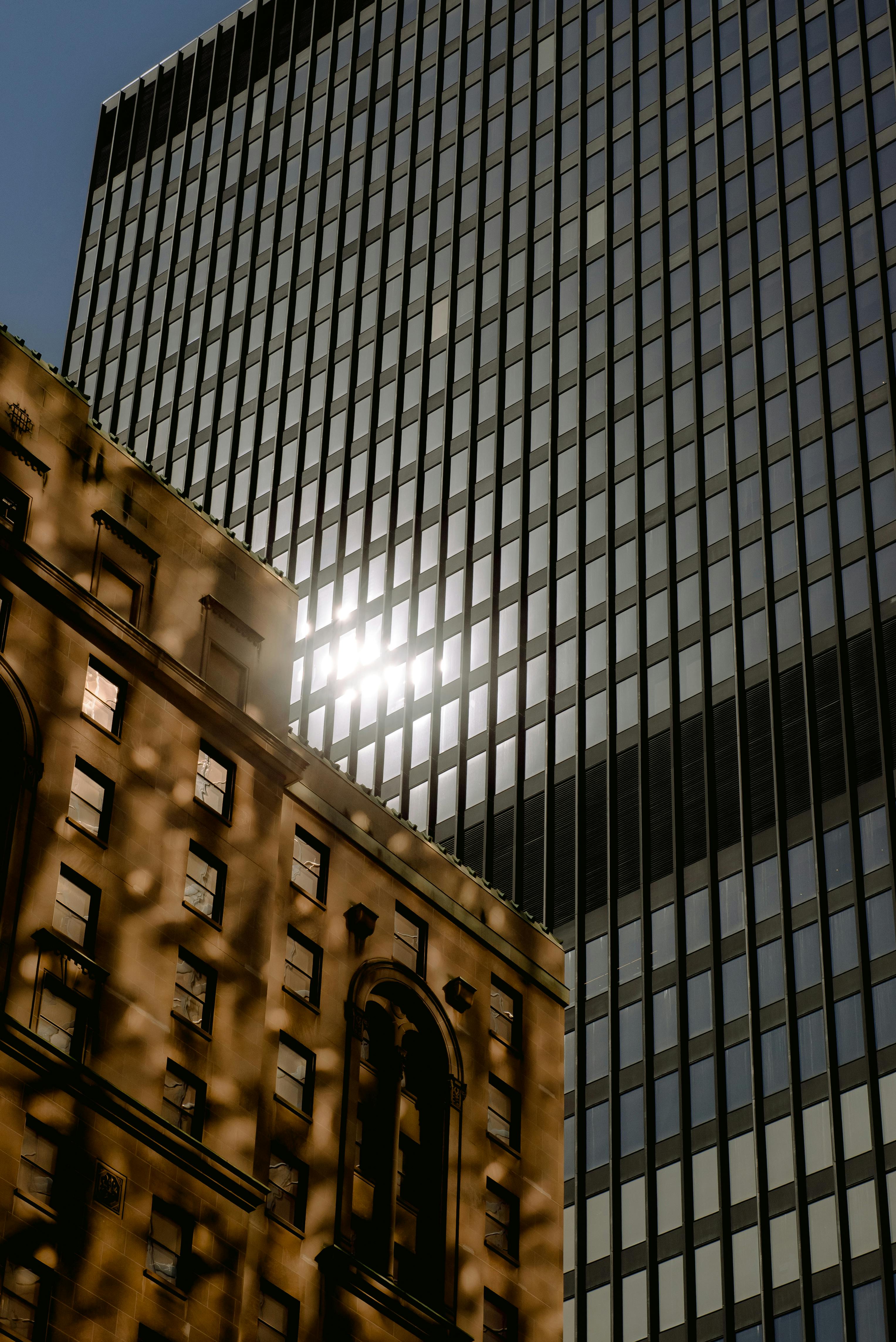 Commercial Window Film 2